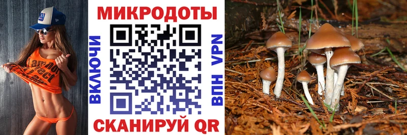 продажа наркотиков Петухово Галлюциногенные грибы Psilocybine cubensis